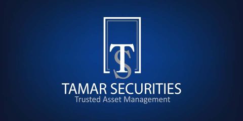 Tamar Securities LLC